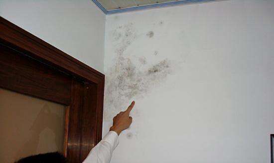 墙面发黄怎么办